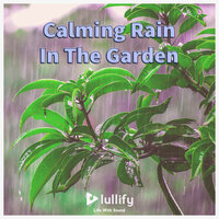 Heavy Rains - Lullify