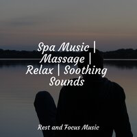 Symbol of Serenity - Powerthoughts Meditation Club & The Sleep Helpers & Monarch Baby Lullaby Institute