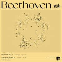 Sonata No. 7 in D Major, Op. 10 No. 3: IV. Rondo. Allegro - Walter Gieseking & Ludwig van Beethoven