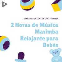 Pequeña señorita muffet en la playa - Canciones de Cuna de la Naturaleza & Canciones Infantiles