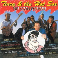 Cuckoo-Boney-Boo - Terry & the Hot Sox