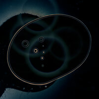 Fear of Knowledge - Ivan Shopov & Dimitar Bodurov