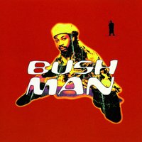 Adaka - Bushman