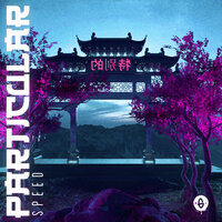 Particular - Spyy & Bertasoli & Lobi
