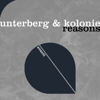 Reasons - Unterberg