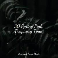 Sleepy Kingdom - Echoes of Nature & Zen Music Garden & Baby Sweet Dream