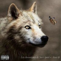 Gentille Mayvis - Sora