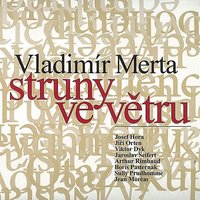 Bílá noc - Vladimir Merta & Josef Hora