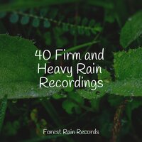 Crackling Embers - Deep Sleep Meditation & Forest Soundscapes & Spa & Spa