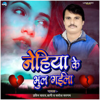 Nehiya ke Bhul Gaila - Pravin Yadav Bagi & Saroj Sargam