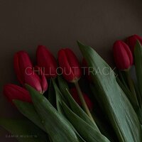 Cillout Track - Damir Music'n