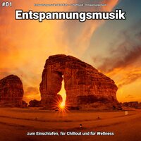 Entspannungsmusik pt. 40 - Entspannungsmusik Jakob Kohs & Schlafmusik & Entspannungsmusik
