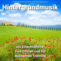Musik zum Lernen - Entspannungsmusik mit sanften Klängen & Schlafmusik & Entspannungsmusik