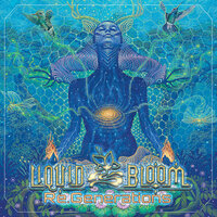 Fire Gathering - Liquid Bloom & Poranguí