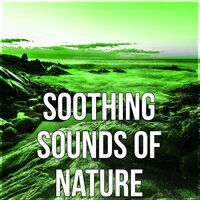 Natural Sleep Aids - Nature Music Sanctuary