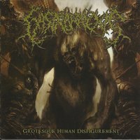 Rotten Humanity - Gastrorrexis