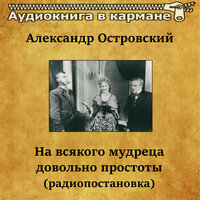 На всякого мудреца довольно простоты. Часть 6 - Аудиокнига в кармане & Игорь Ильинский