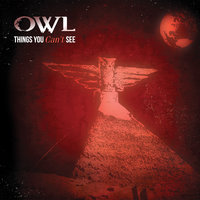 Lake Ego - Owl