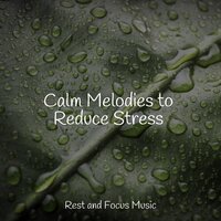 Gentle - Academia de Música para Massagem Relaxamento & Meditation Relaxation Club & Relaxation Music Guru