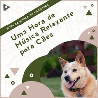 Música calmante para ansiedade - Hora da Música do Cachorro & Música Relaxante para Cachorros & Música de Cachorro Calmante
