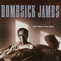 They Call Me Hot Foot Homesick - Homesick James