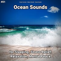 Ocean Sounds Pt. 30 - Ocean Currents & Nature Sounds & Ocean Sounds