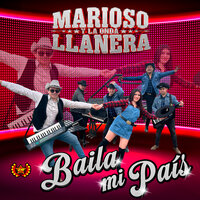 Quiero Borrarte de Mi Vida - Marioso y La Onda Llanera & Zona Ranchera
