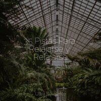 Flujos Ocultos - Lluvia Relajante & Escola de Meditação & Maestros de música de la meditación