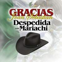 Las Golondrinas - Mariachi Nuevo Tecalitlan