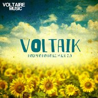 Linda - Siopis & Ekkohaus & Métrika