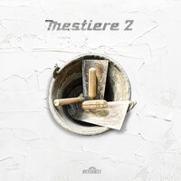 MESTIERE 2 - Peter Wit