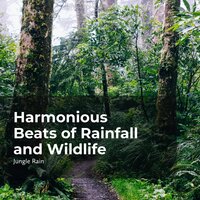Tranquil River Stream - Nature and Rain & Deep Rain Sampling & Jungle Rain