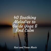 Thinking About Nothing - Massagem Coleção de Músicas & White Noise Sound Garden & Soothing Chill Out For Insomnia