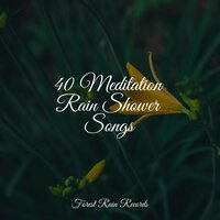 Beautiful Bird Song - Regengeräusche & Zen Meditate & Cascada de Lluvia