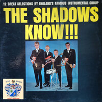 In the Mood - The Shadows