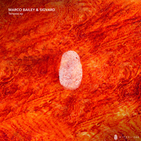 Tempest - Marco Bailey & Sigvard