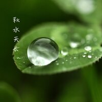 烟雨行舟 - 古风乐坊