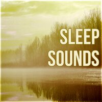 111 Sleep Music - Deep Sleep Maestro