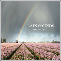 Rain Sounds for Sleeping, Pt. 26 - Rain for Deep Sleep