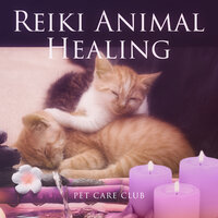 Furry Friend - Pet Care Club