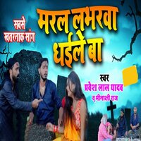Maral Labharava Dheele Ba - Pravesh Lal Yadav & Minakshi Raj