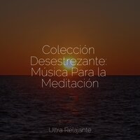 Encuentra El Centro - Sonidos de lluvia para dormir & Naturaleza Sonidos & Meditação Yoga