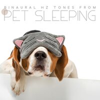 Animal Wellness – 228 Hz - Pet Music Academy