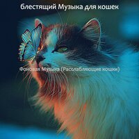 Моменты (Одинокие кошки) - блестящий Музыка для кошек