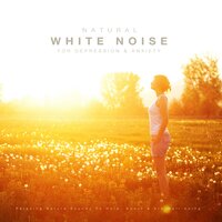 The Holiday Cottage Pond - White Noise Research