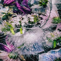 we’re dying - Cherry Coke & Paloalto & KMB