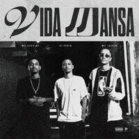 Vida Mansa - MC Tairon & Mc Dudu HR & Dj Pkzin