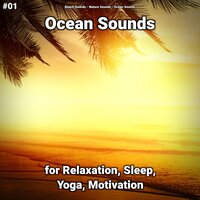Ocean Sounds Pt. 24 - Beach Sounds & Nature Sounds & Ocean Sounds
