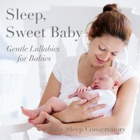 Pop Goes the Weasel - Baby Sleep Conservatory & Teddy Aspra