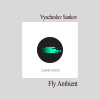 Fly Ambient - Vyacheslav Sankov